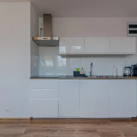 Sloneczne Poddasze Przy Molo I Plazy Appartement